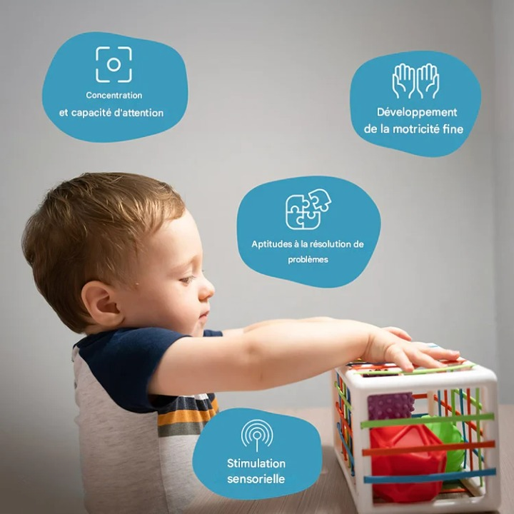 Blocs de formes Montessori – Tri et reconnaissance des formes