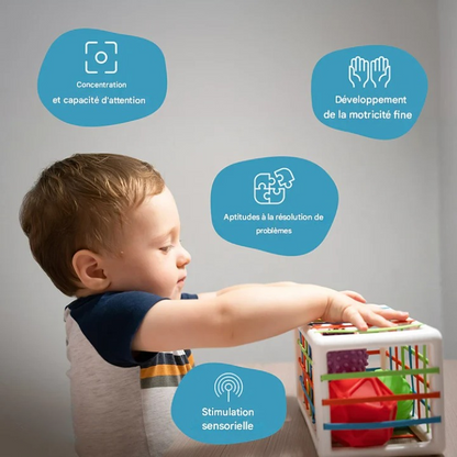 Blocs de formes Montessori – Tri et reconnaissance des formes